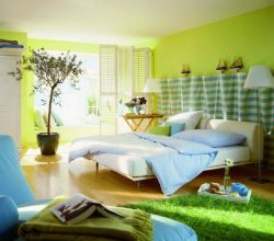 Principios de la Decoración